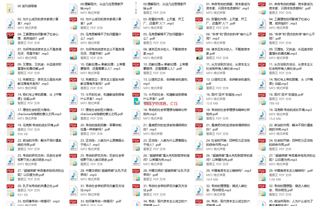 【完】杨照 认识现代社会的真相:韦伯60讲