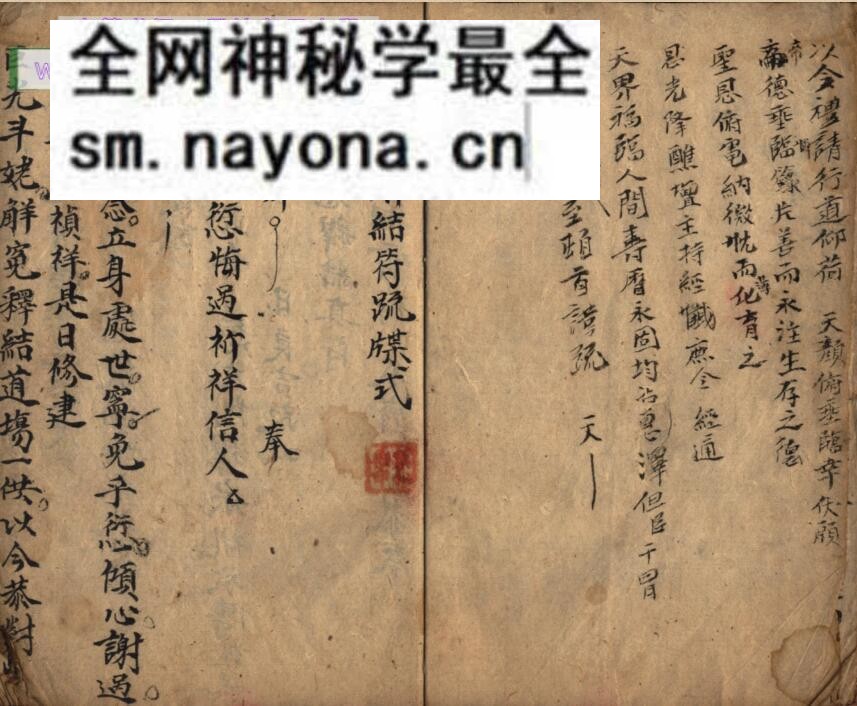 《延生行移》百度网盘下载