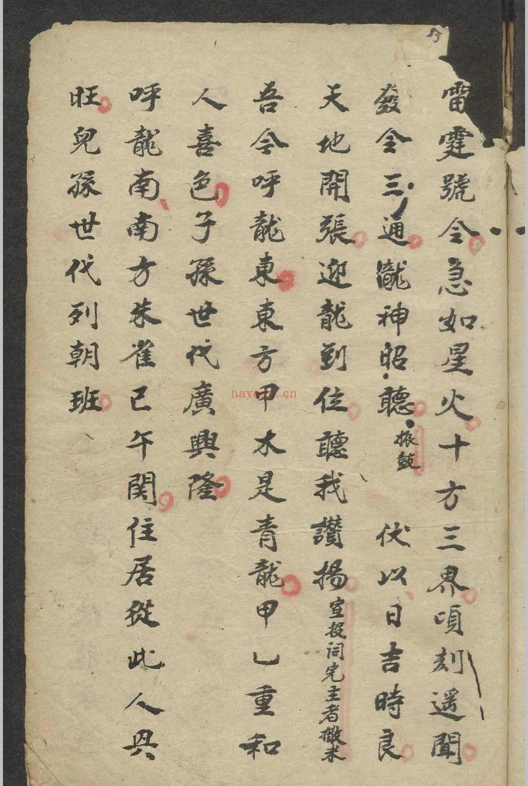 道教大和土科 , 1800
