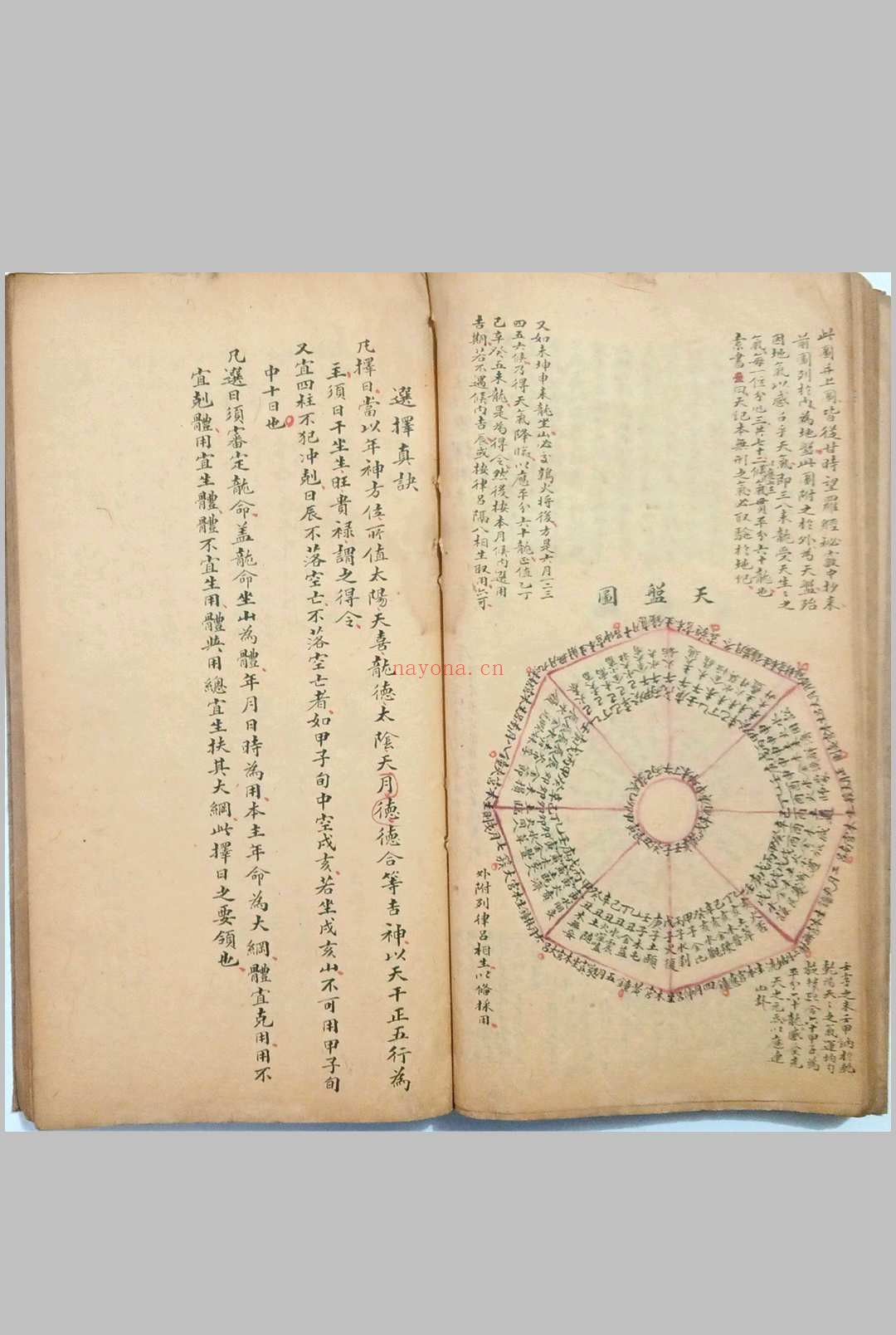 看龙峦头