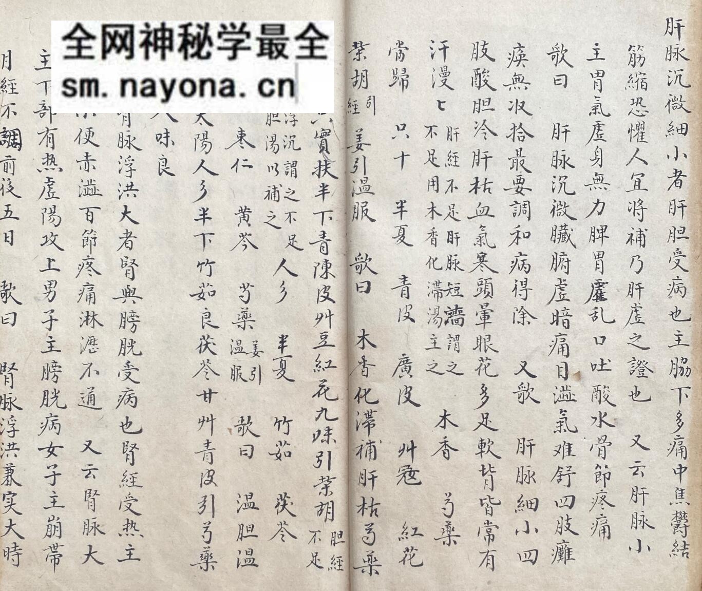 《脉理细领秘要》