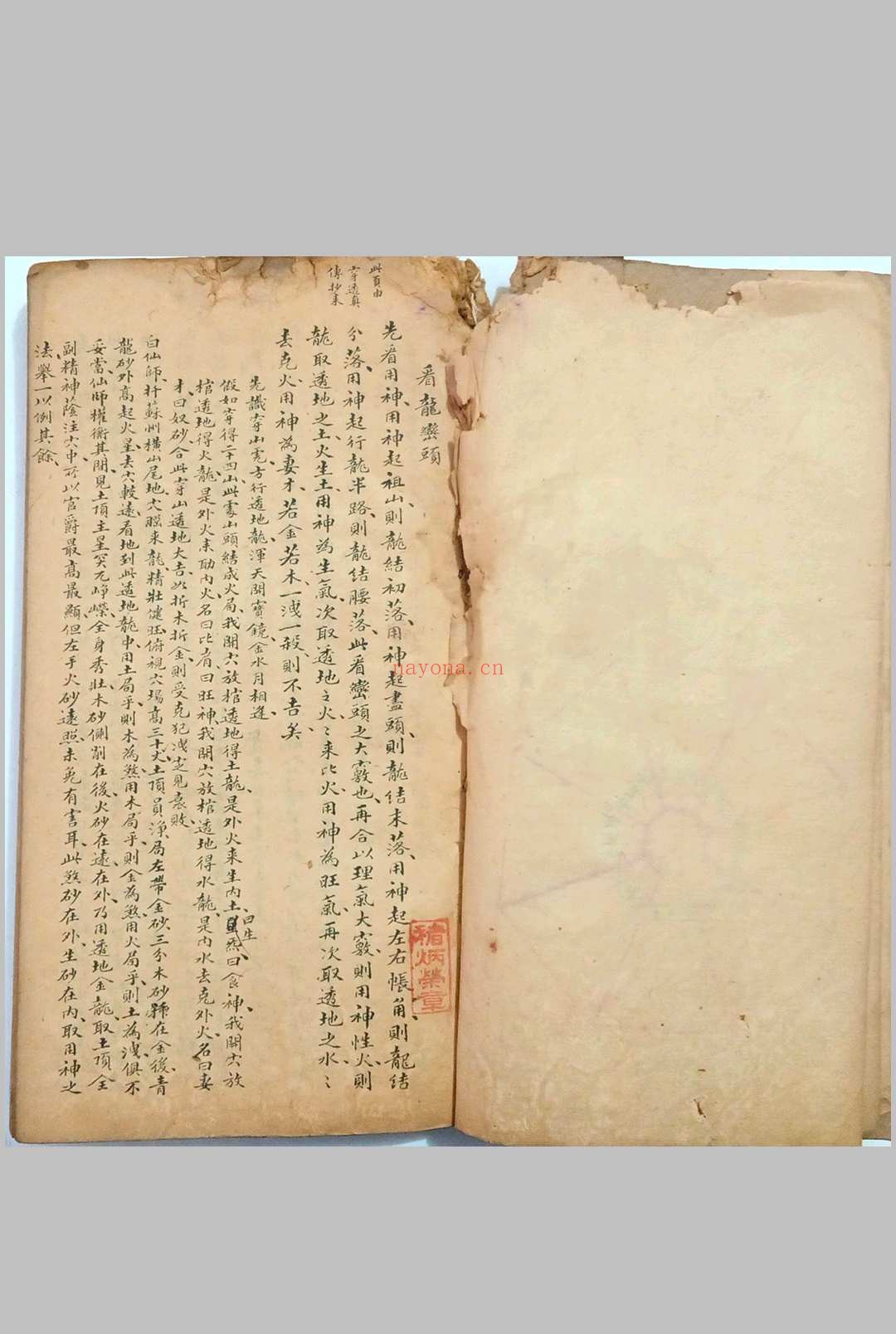 看龙峦头