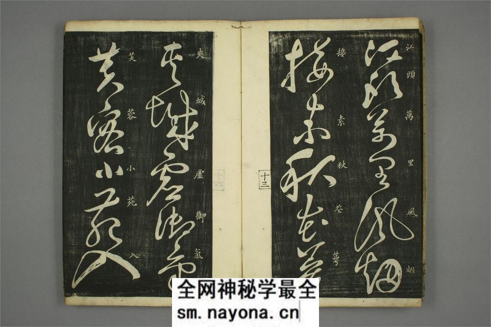 (唐)怀素草书秋兴八首(日延保版) - 第15页预览图