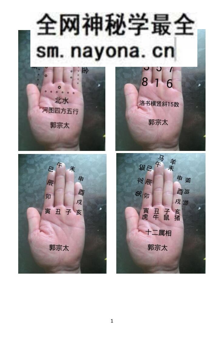 《易学130种掌诀》