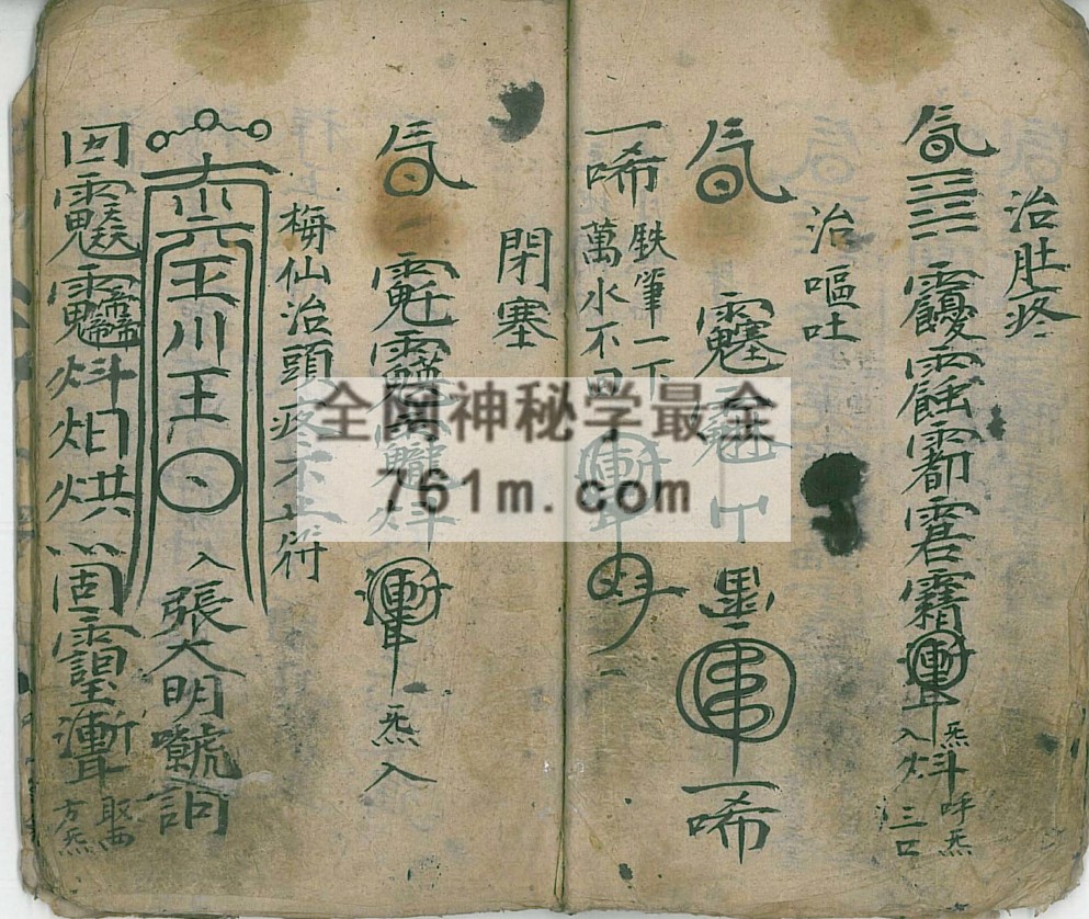 温公救治符秘 pdf 44页 百度云下载