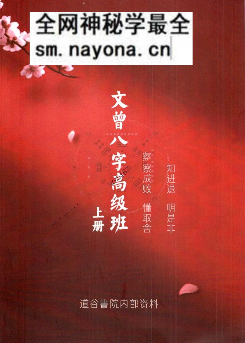 文曾-《盲派八字高级班》