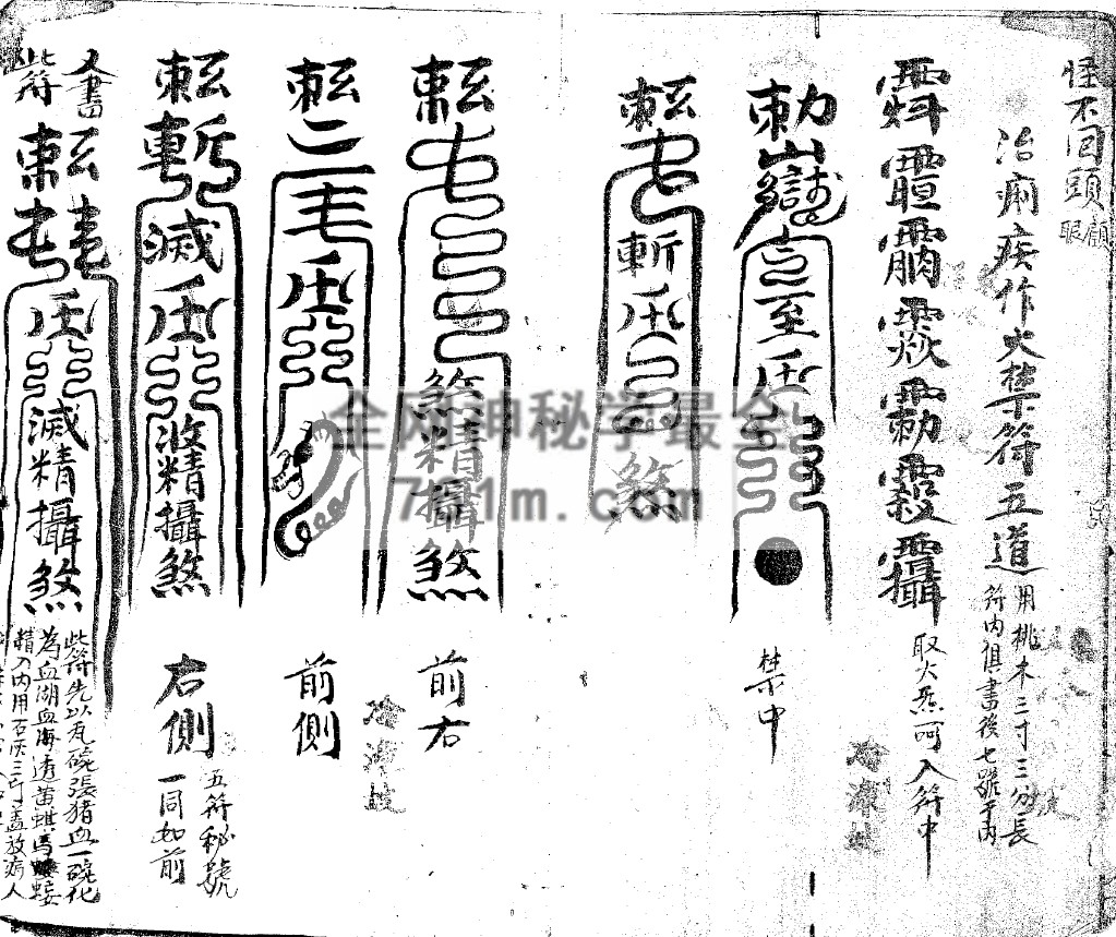 正一秘法全箓 (手抄本) pdf  百度云下载