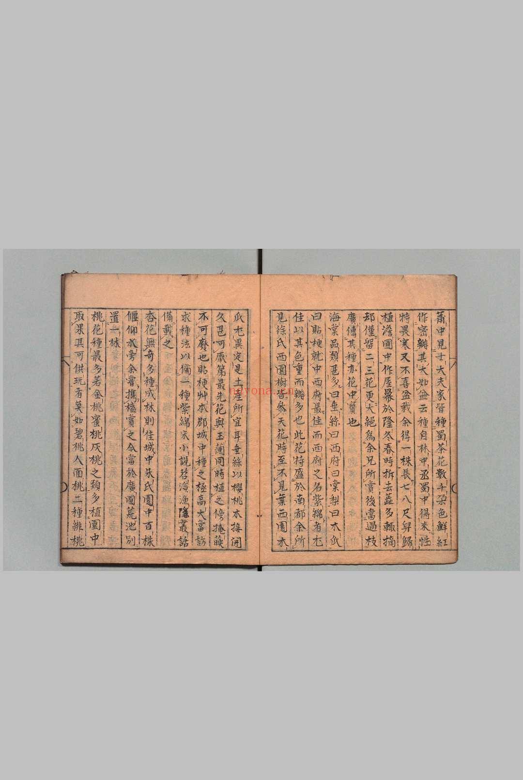 高寄斋订正学圃杂疏 王世懋(明)写本 ,江户