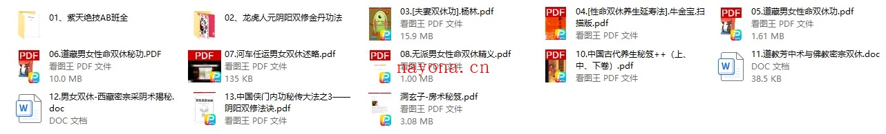 道家霜修踩补术
