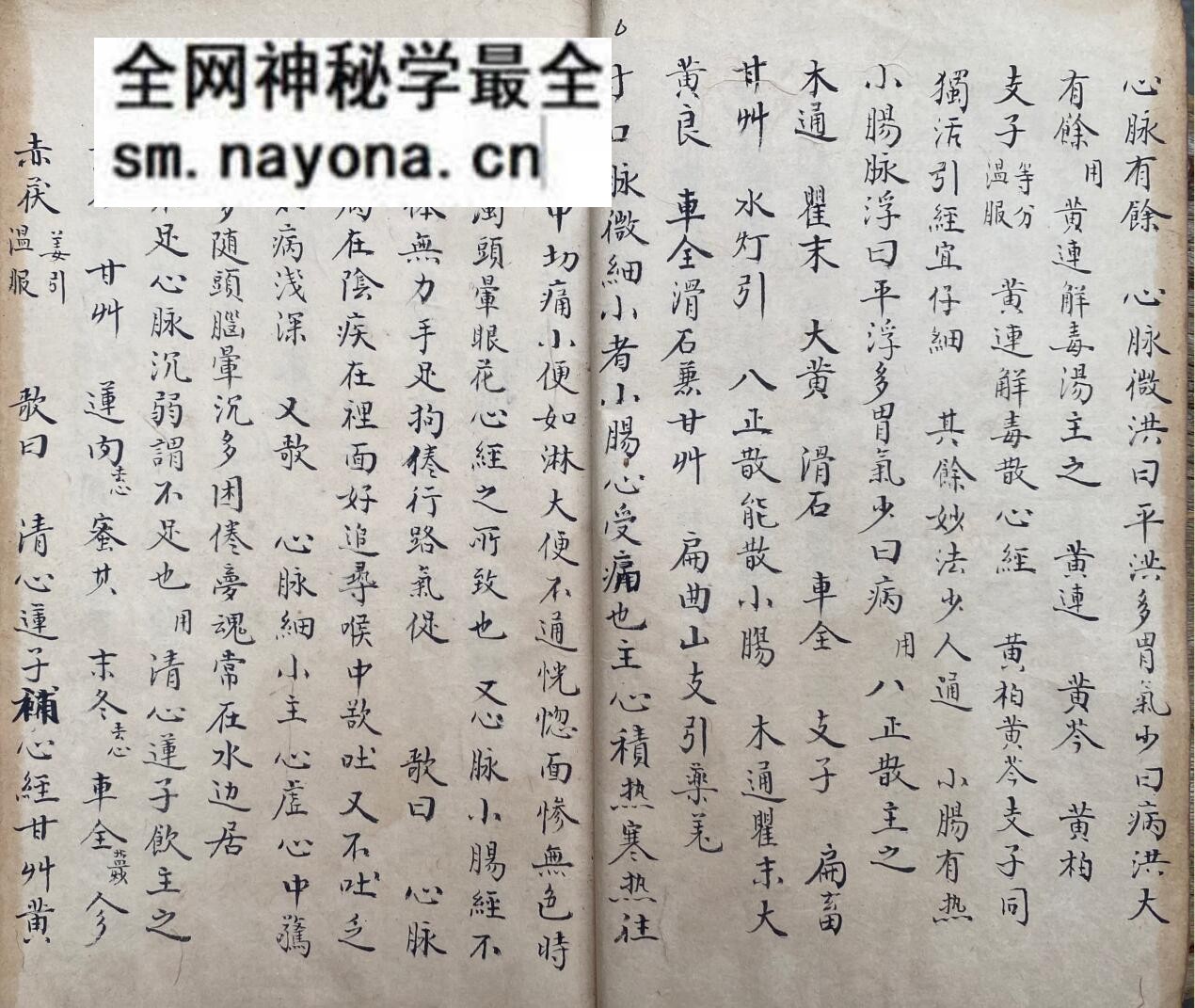 《脉理细领秘要》