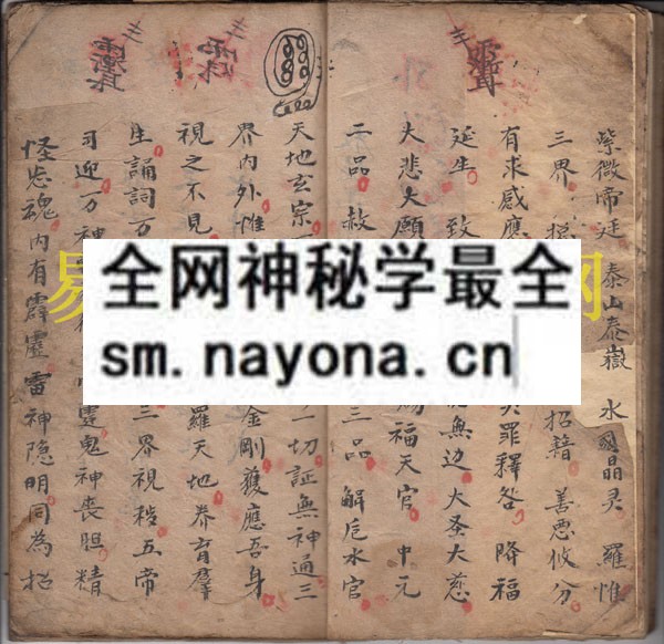 1742972549262736.jpg 符法药章 (原书)