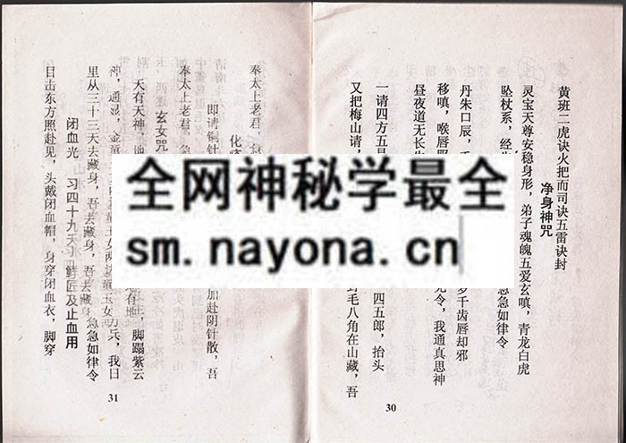1742732000719496.jpg 灯火图书(有符) (电子版)