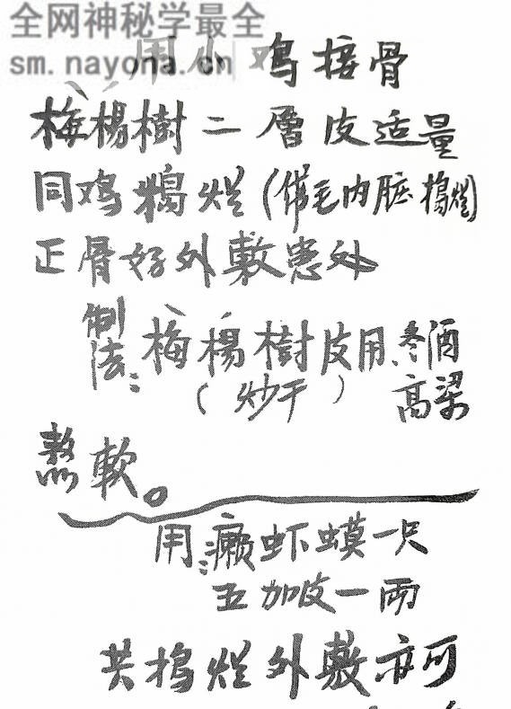 中草药抄录