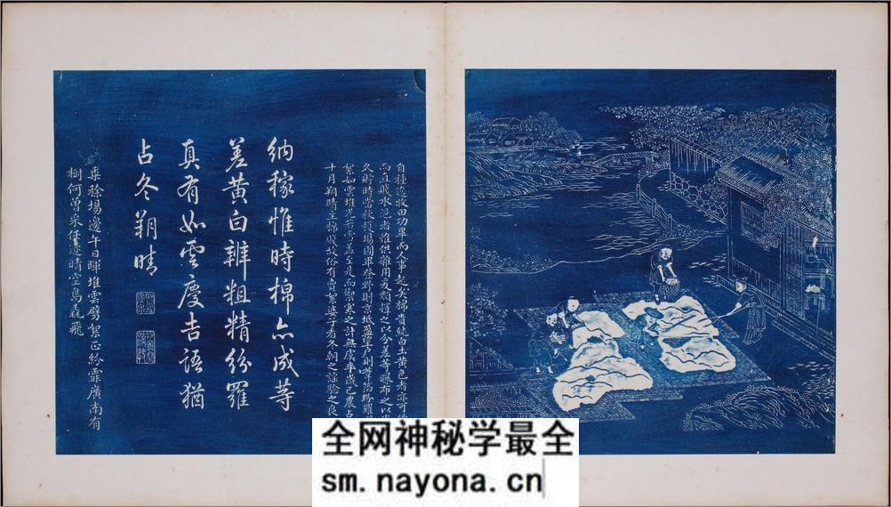 御题棉花图.方观承画.乾隆题诗.蓝拓本.1765年 - 第10页预览图