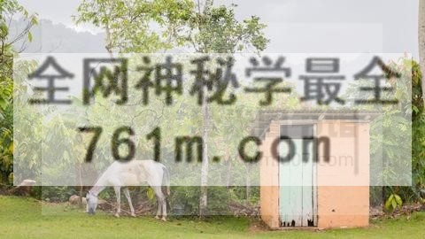 生物信息入门之 Linux