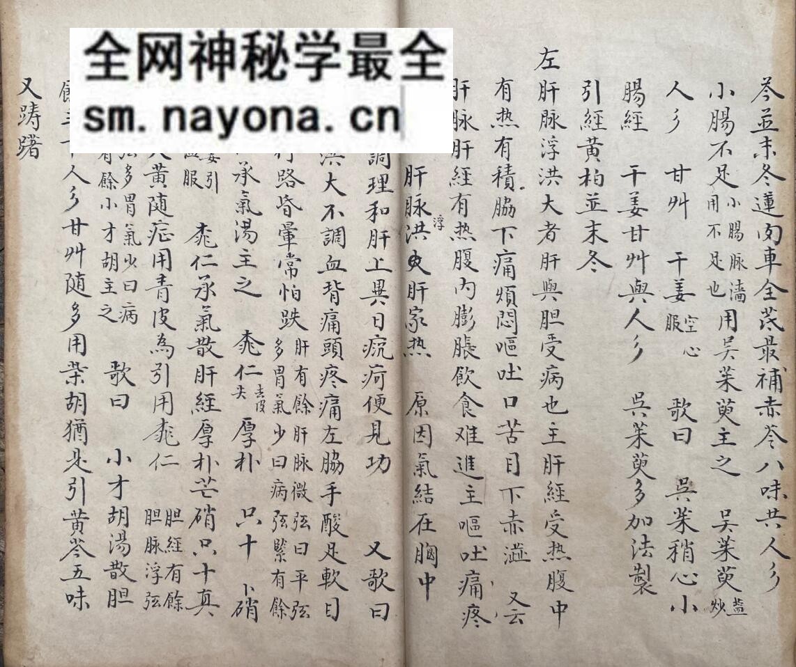 《脉理细领秘要》