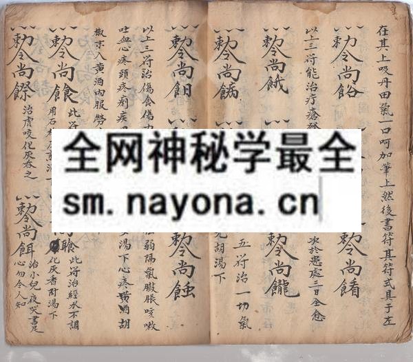 龙沙道人秘书  （原书）
