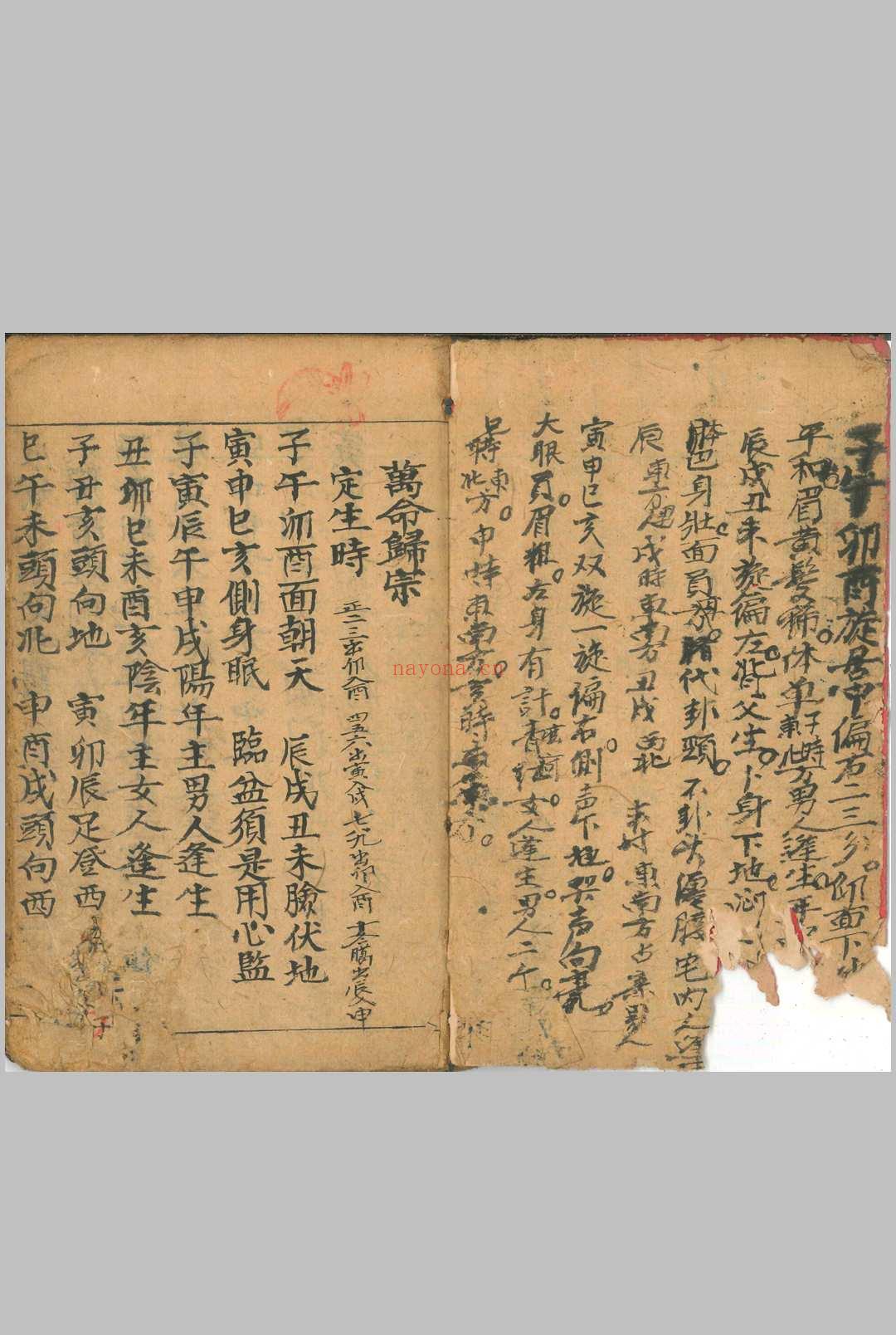 万命归宗