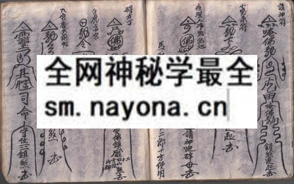 安师科（原书）