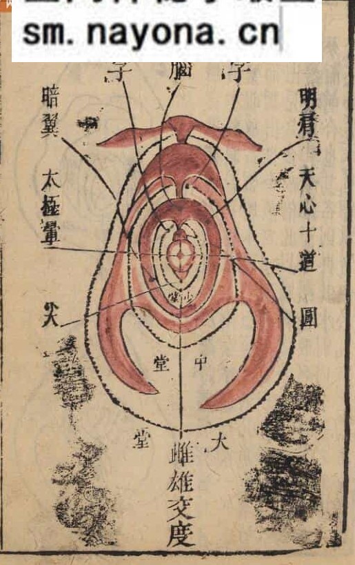 《雪心赋正解》百度网盘下载