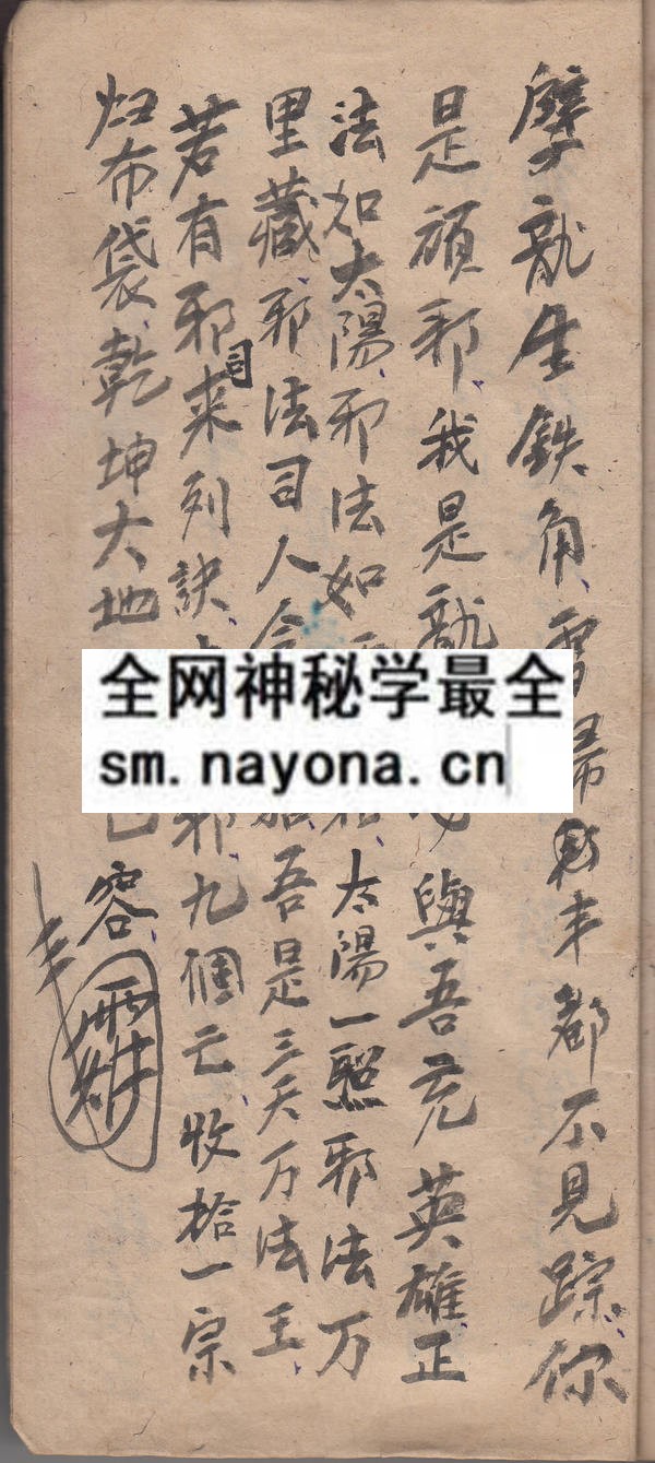 茅山龙虎将  （原书）