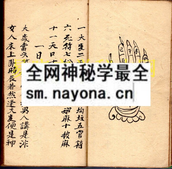 法病秘书  （原书）