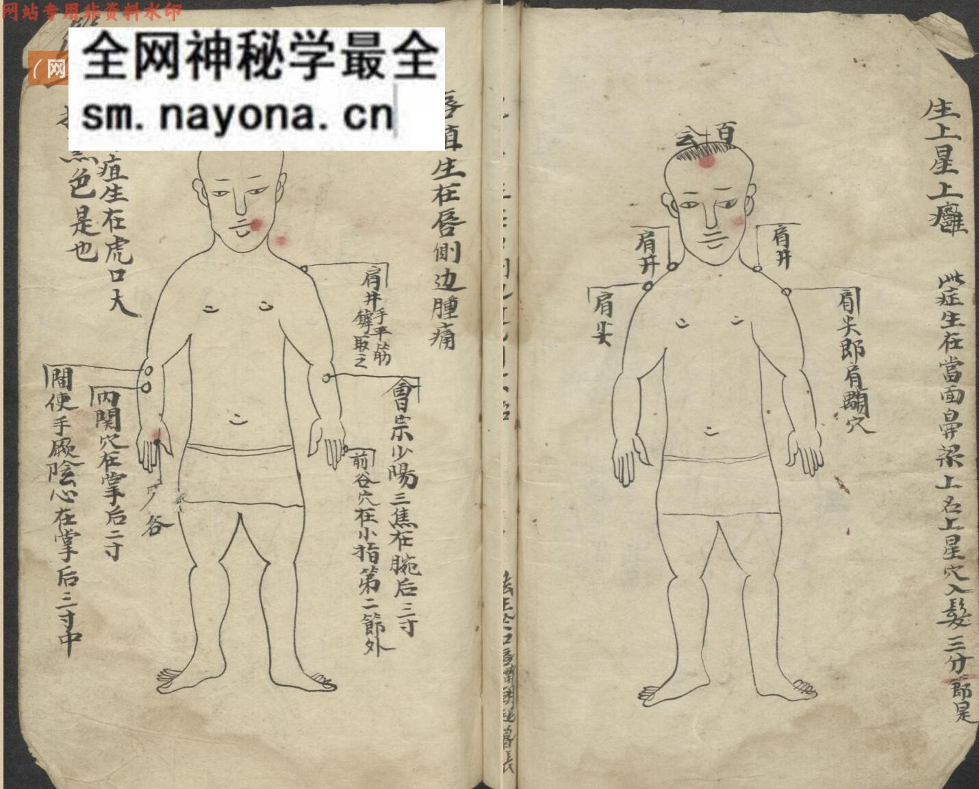 中医古籍《百症图说》