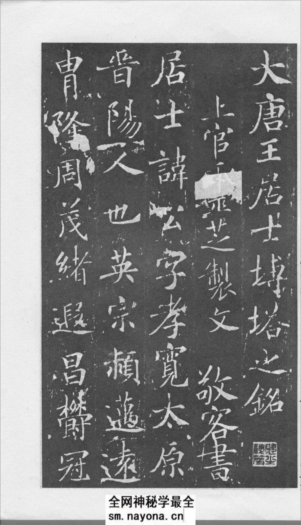 大唐王居士砖塔铭 - 第3页预览图