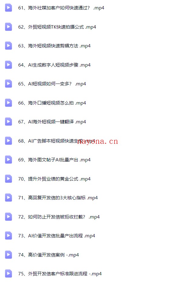 新版 David老师最新AI闪电做外贸【Ag-0225】