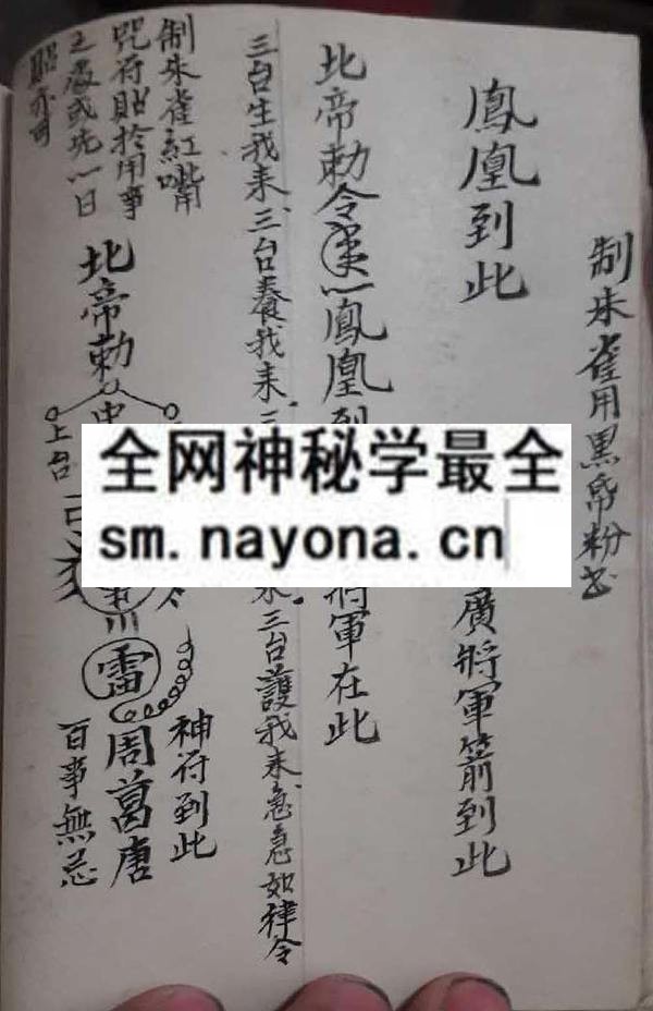 吕山良金罗汉  (电子版)
