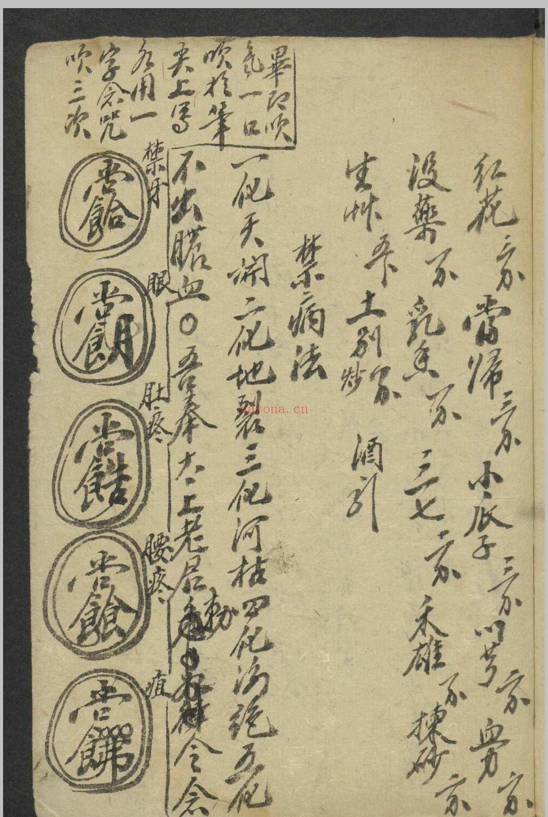 验方闻见录·杂证