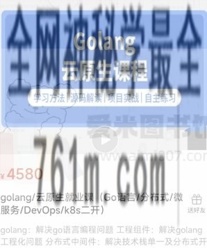 【零声】golang云原生就业课(Go语言分布式微服务DevOpsk8s二开)