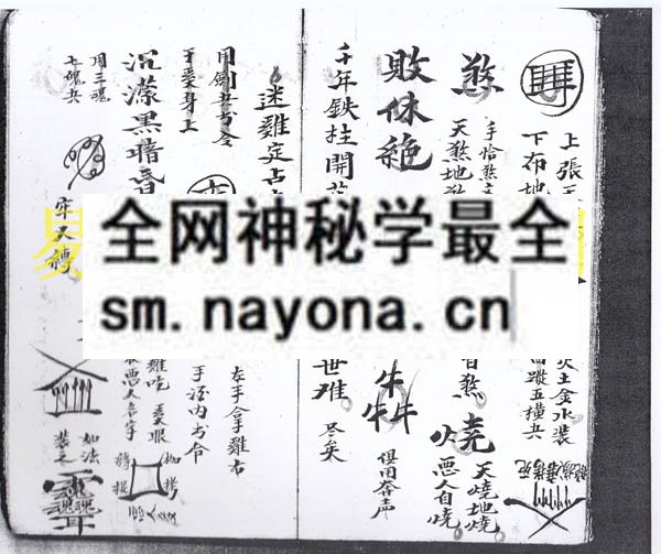 1742898457994655.jpg 伐恶符科 (电子版)