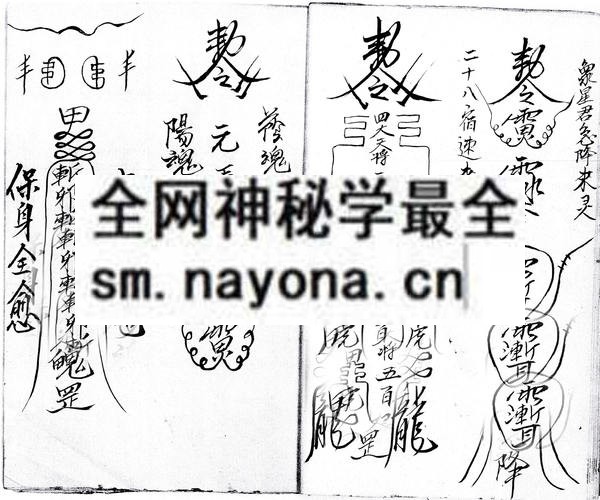 1742727060519990.jpg 道号龙清法神水灵符全书(北传五雷教法本) (电子版)