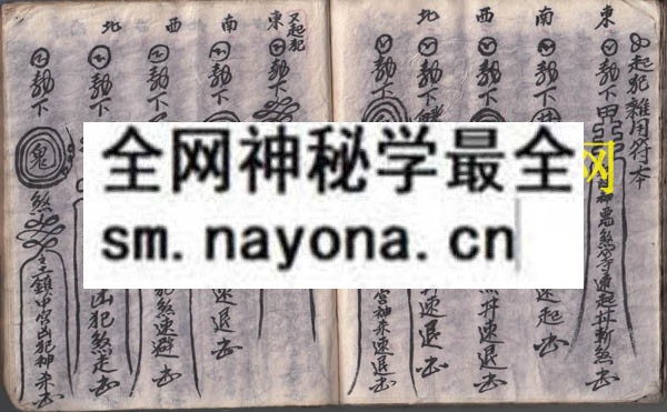 安师科（原书）
