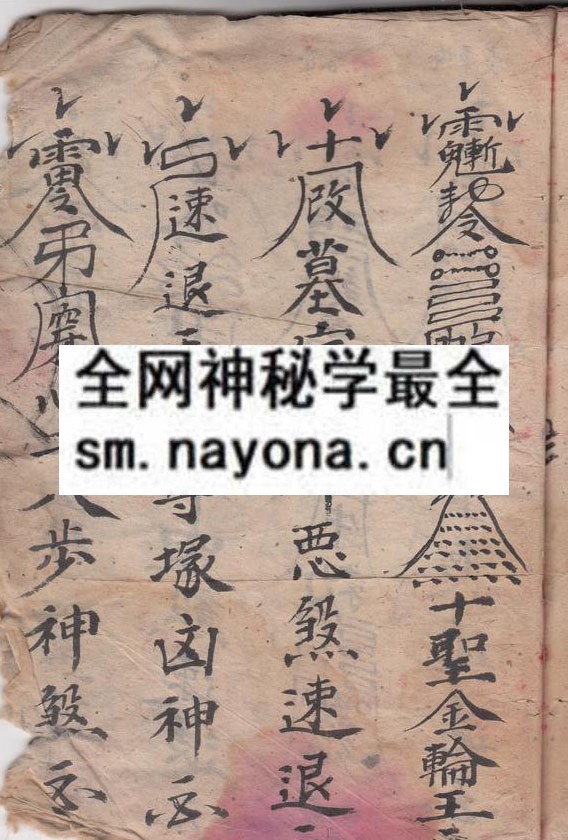 録集取坟书  （原书）