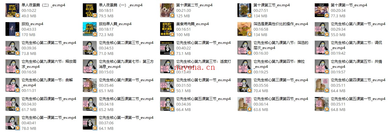 黑猫染色体《它先生门徒核心课》