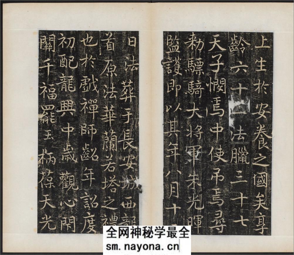 唐国师千福寺多宝塔院故法华楚金禅师碑.唐释飞锡撰.唐吴通书.民国拓本 - 第11页预览图