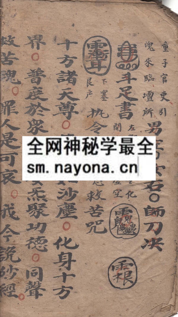 蒙山科  （电子版）