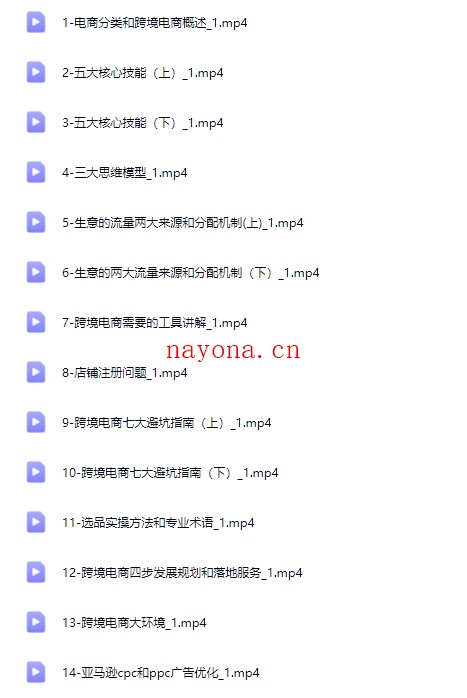 跨境电商实操课程从零到精通,人人都适合的跨境电商课【Ag-0158】