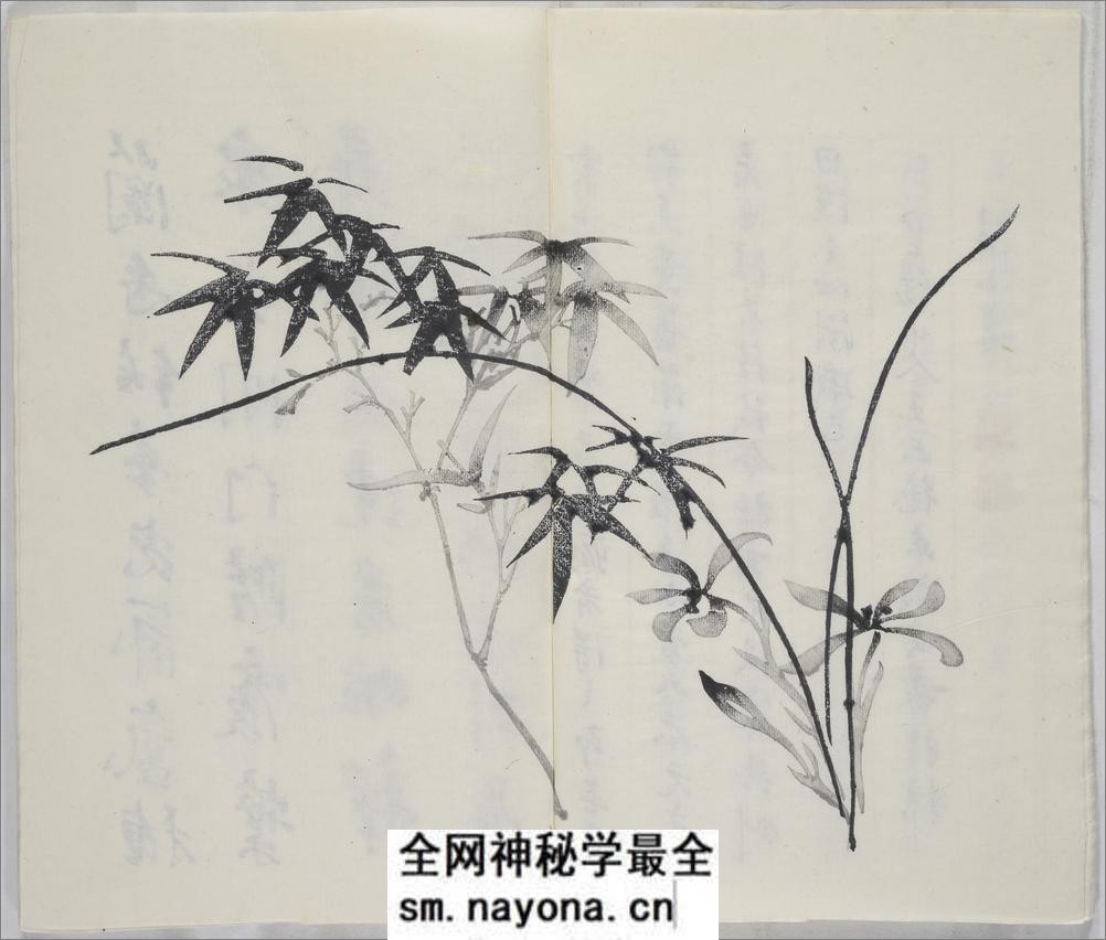 十竹斋书画谱.16册.明胡正言辑.清嘉庆22年芥子园重刊胡氏彩色套印本.1817年 - 第10页预览图