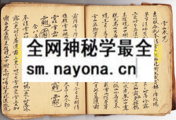 1742975312124870.jpg 符显药灵 (原书)