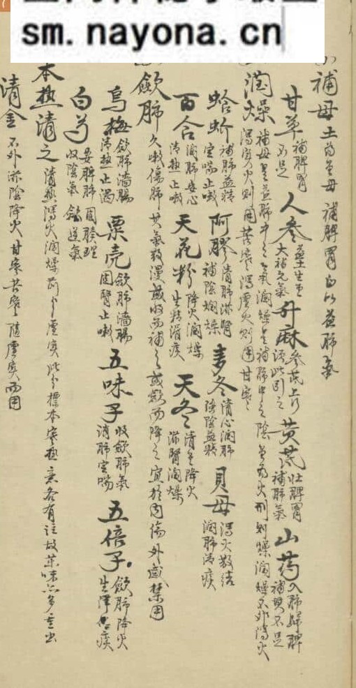 《脏腑标本药式》