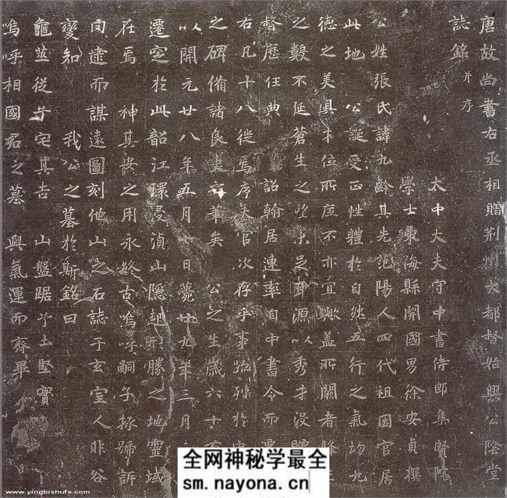 (唐)楷书_张九龄墓志铭 - 第7页预览图