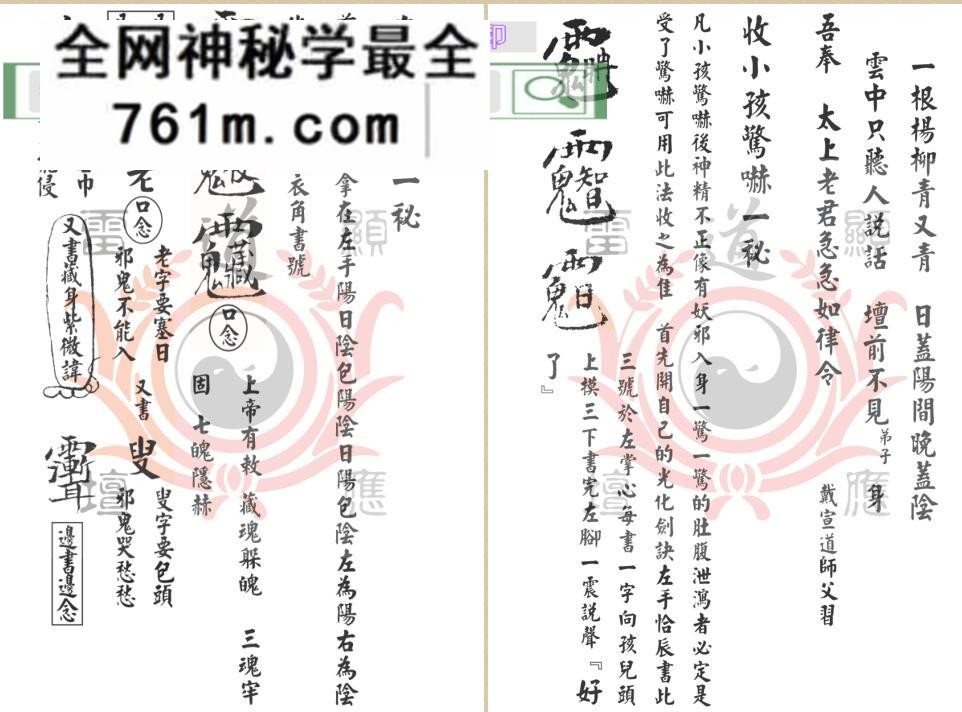 《戴家道术符秘一宗》