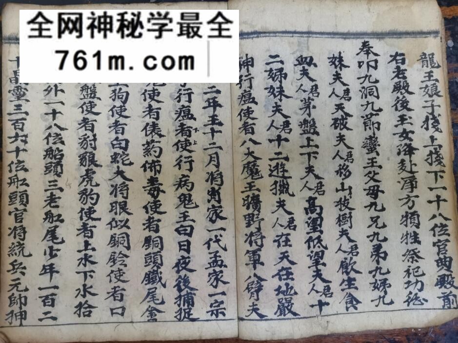 《祭矛神科》