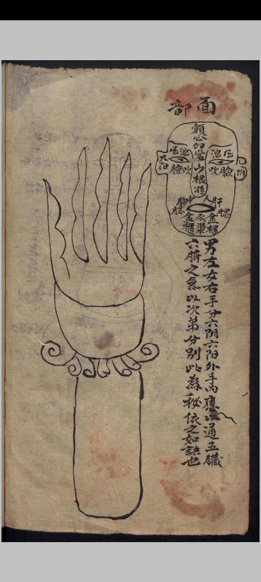 杂抄医书 , 1900