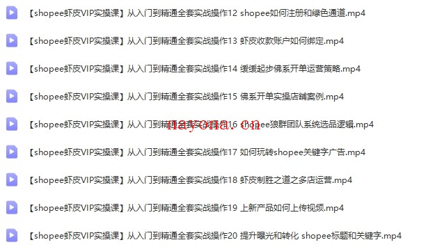 Shopee运营系列教程【Ae-0005】