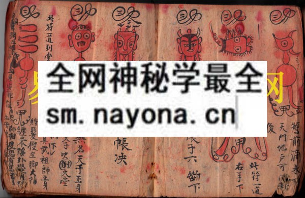 1742454678808808.jpg 打瘟灭邪符秘 (原书)