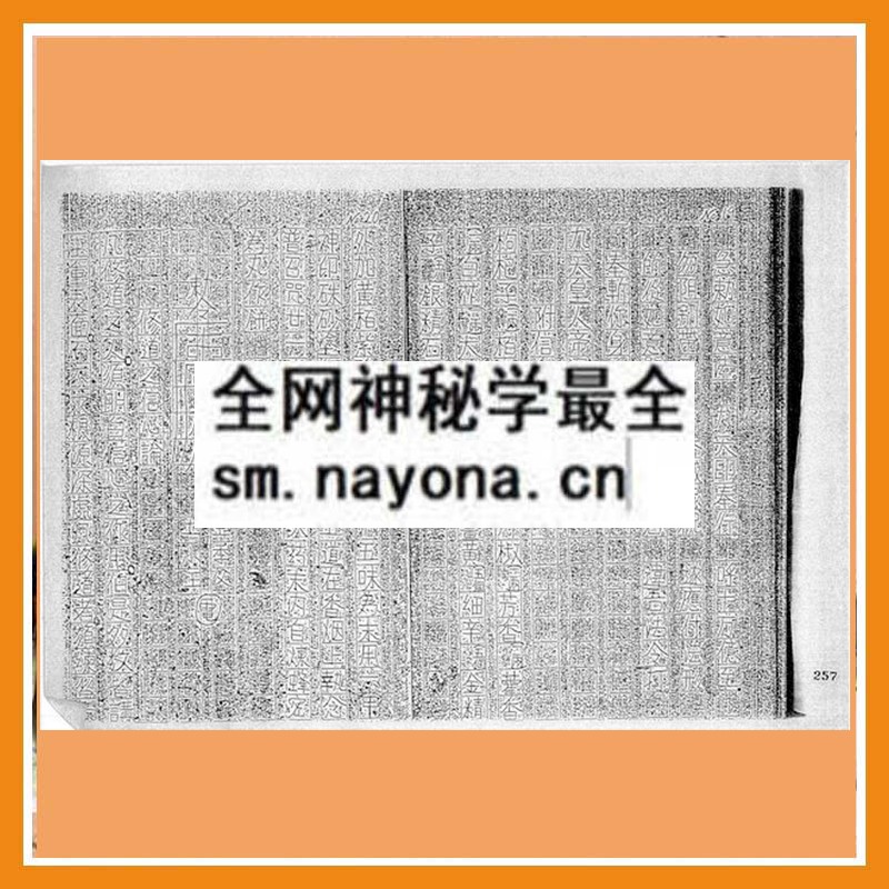 乐善坛做法符书 （只售电子版）